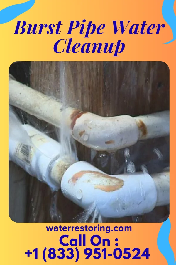 Burst Pipe Water Cleanup in Garden City, MI