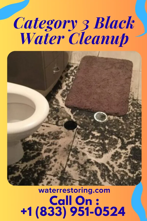 Category 3 Black Water Cleanup in Garden City, MI