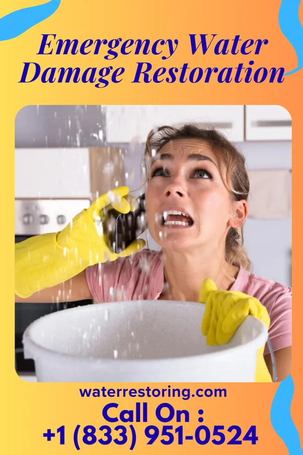 Emergency Water Damage Restoration in Garden City, MI