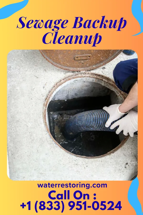 Sewage Backup Cleanup in Garden City, MI